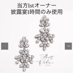 Best Wishes クリスタルピアス　Bouquet