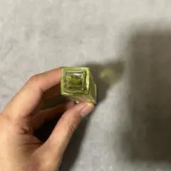 CHANEL N°19 女性用香水