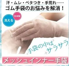 Item thumbnail for item 039b2591-b209-4ad1-ad14-be59f504c12c