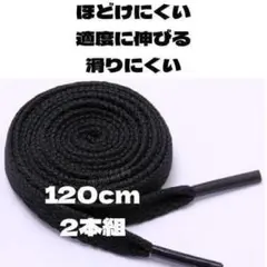 軽量 黒 ブラック 靴紐 120㎝ 2本組 平紐 シンプル スニーカー用 替え紐