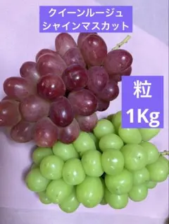 ㊺【訳あり予約】長野県産クイーンセブン1kg【メルカリ便】シャイン