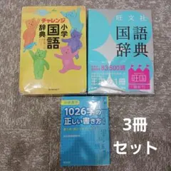 【3冊セット】国語辞典2冊（チャレンジ＆旺文社）＋1026字の正しい書き方