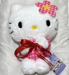 ①① ハローキティ Myハローキティ抱っこポーズドールBIGタイプ4 タイトー
