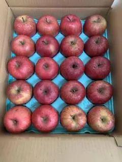 訳ありサンふじ10キロ 28玉～40玉　送料無料！！