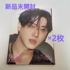 Stray Kids KARMA アコーディオンver 新品未開封 チャンビン