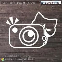 ドラレコ録画中⑤猫2カッティングステッカー　ドライブレコーダー・ハチワレ・ネコ