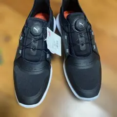 Item thumbnail for item b5936dbb-d8fb-4b24-b362-1574efef9798