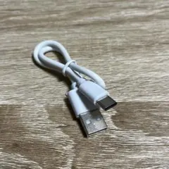 USB-A to USB-C ケーブル 約30cm