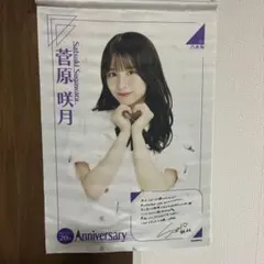 乃木坂46 菅原咲月 タペストリー 20th Anniversary