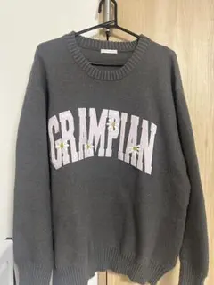 刺繍入りグレーのニットセーター