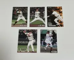 【翌日発送】プロ野球チップスカード　24,25 読売ジャイアンツ