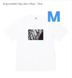 Item thumbnail for item 7c939d28-7deb-41ca-bc4a-8d8fb7811a92