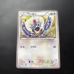 309 ワシボン