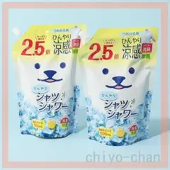 スプレーするだけ涼感消臭対策ひんやりシャツシャワ超特大つめかえ用パウチ２個セット