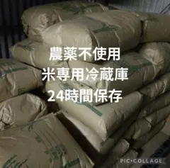 にこまる 10kg 農薬不使用 国産玄米 農家直送 単一品種 専用冷蔵庫