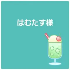 はむたす様専用ページ
