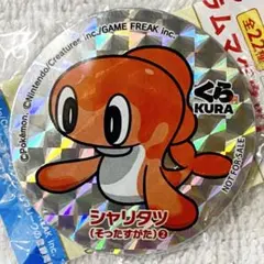 【ポケモン】シャリタツ╱ホログラムマグネット ②