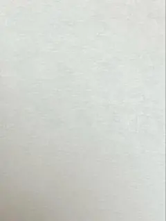 専用