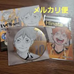 ハイキュー!! FAN PARK ファンパーク 日向翔陽