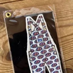 【希少‼️】Lee オーバーオール型テキスタイルヴィンテージステッカー
