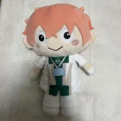 FGO ゆるっとロマニ ぬいぐるみ