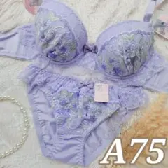 №1420【A75】チャーミングフリルレーシィブラジャー&フルバックショーツ