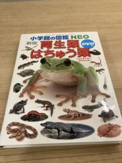 小学館の図鑑 NEO 両生類 はちゅう類 DVD
