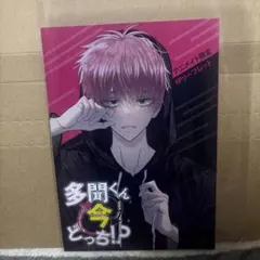 多聞くん今どっち！？ アニメイト 限定 4P リーフレット 花とゆめ 師走ゆき