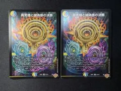 2025年最新】パーフェクトペテンシーの人気アイテム - メルカリ