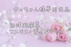 さっちゃん様専用出品