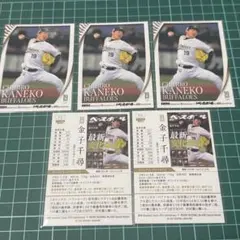 Item thumbnail for item 65a28780-8ce1-4a82-ab6c-2ae6429e72f5