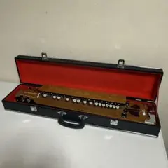 2026年最新】琴伝流 大正琴の人気アイテム - メルカリ