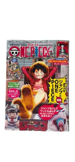 ワンピースマガジン 20号 付録付き　ルフィ プロモカード 新品未使用未読