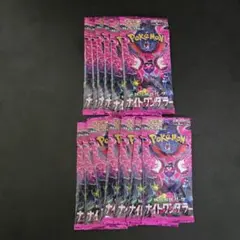 ナイトワンダラー13p