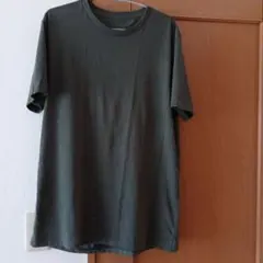 Item thumbnail for item 5319fde6-6dd2-416a-8397-8f0e6acd04c1