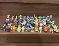 ポケモンキッズ
