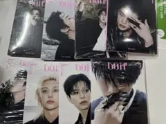 straykids スキズ DOIT アコーディオン 8枚セット