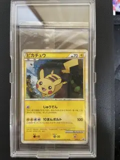 ポケモン大好きクラブ プロモ ポケモンカード 台湾はじめて教室終了