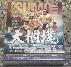 Item thumbnail for item b5e53c90-d5ed-41e8-960d-509e99f92e3a