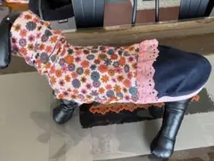 Item thumbnail for item 5696d4b1-fd3c-4133-88fe-0a6ed47218ce