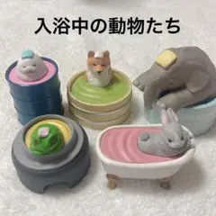 Item thumbnail for item 9dc0c422-8ec5-48d8-a940-d29c60aacadd