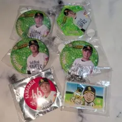 若鷹ガチャ　ウエスタン・リーグ　セット　【1/31まで】