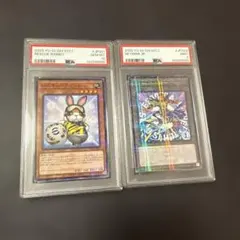 タタッコ AR PSA10 2枚連番セット - メルカリ