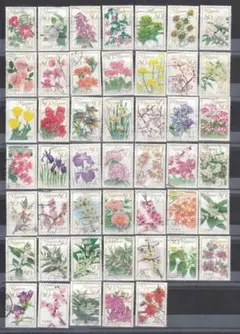 2026年最新】花切手の人気アイテム - メルカリ