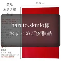 haruto.skmio様 リクエスト 2点 まとめ商品