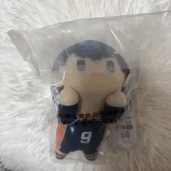 ハイキュー一番くじD賞ちょこのっころんぬいぐるみ　影山飛雄