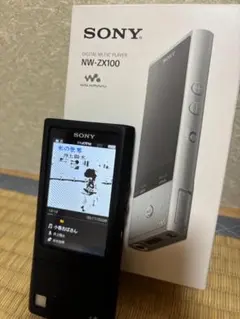 T*A様 SONY NW-ZX300G 128GB WALK MAN 純正ケース T*A様 SONY NW-ZX300G 128GB WALK MAN 純正ケース - メルカリ