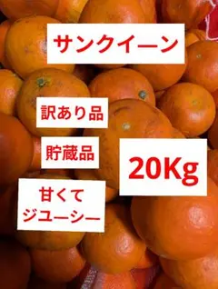 訳あり・加工向け】屋久島産タンカン 約20kg 送料込み価格 | Mercari
