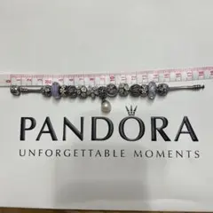 Pandoraブレスレット、チャーム13個付き
