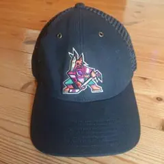 47Brand製 Carharttコラボ NHL アリゾナコヨーテズ キャップのサムネイル